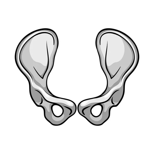 Vektorillustration von Knochen und Skelett-Logo. Set aus Knochen und menschlichem Aktiensymbol für Web. — Stockvektor