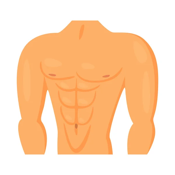 Ilustración vectorial del signo muscular y celular. Colección de músculo y anatomía icono vectorial para stock . — Archivo Imágenes Vectoriales