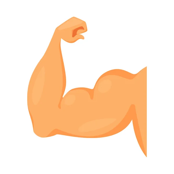 Illustration vectorielle du logo des muscles et cellules. Ensemble de muscle et anatomie stock symbole pour le web . — Image vectorielle