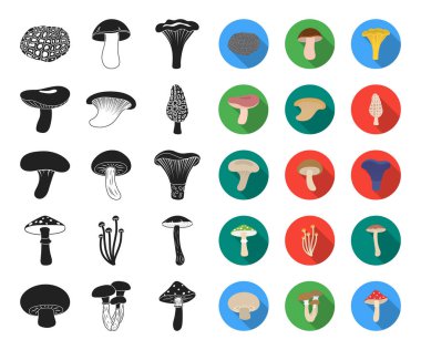 Poisonous and edible mushroom black,flat icons in set collection for design. Different types of mushrooms vector symbol stock web illustration. clipart
