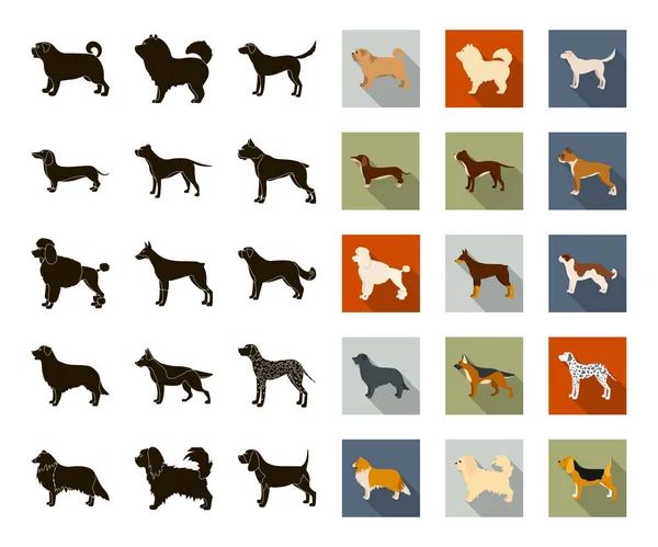 Raças de cães ícones pretos e planos na coleção de conjuntos para design.Dog pet vector symbol stock web illustration . —  Vetores de Stock