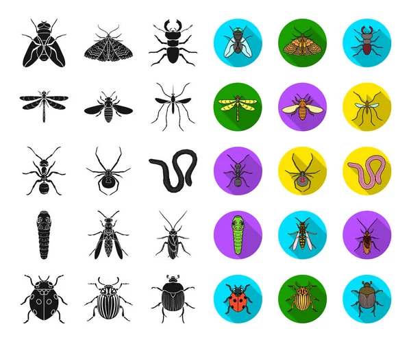 Různé druhy hmyzu černá, plochý ikon v kolekce sady pro design. Hmyzu členovců vektor symbol akcií web ilustrace. — Stockový vektor