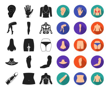 Gövde, kol siyah, düz simgeler set koleksiyonu tasarım için bölümü. İnsan anatomisi vektör simge stok web çizimi.