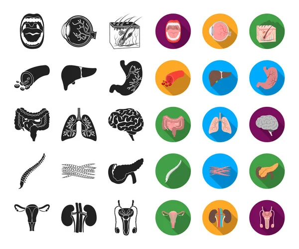 Órgãos internos de um preto humano, ícones planos na coleção de jogo do desenho. Anatomia e medicina vetor símbolo web ilustração . — Vetor de Stock