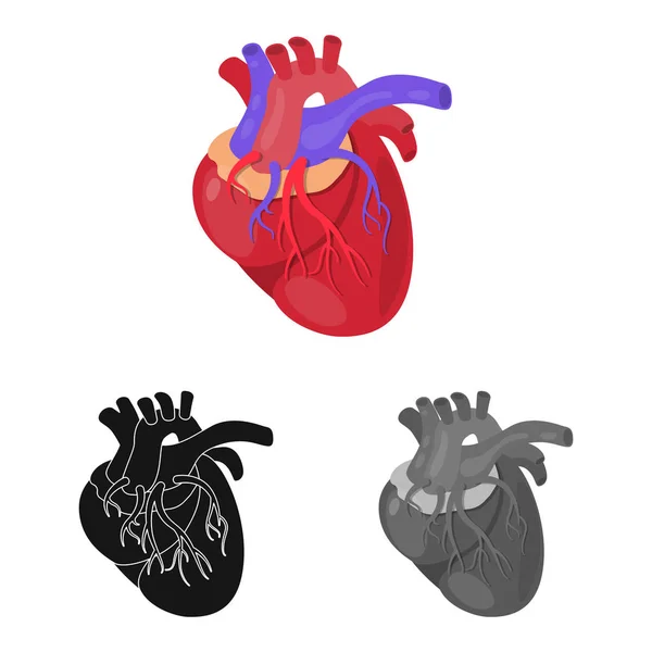 Vector design a biológia és a tudományos szimbólum. Biológia és laboratóriumi vektor ikon készlet gyűjteménye. — Stock Vector