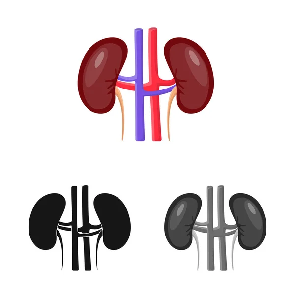 Diseño vectorial de biología y logotipo científico. Conjunto de símbolo de stock de laboratorio y biología para web . — Archivo Imágenes Vectoriales