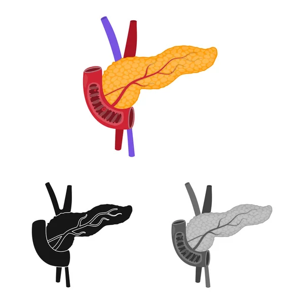 Vektorové ilustrace biologie a vědecké ikony. Sada biologie a laboratorní burzovní symbol pro web. — Stockový vektor