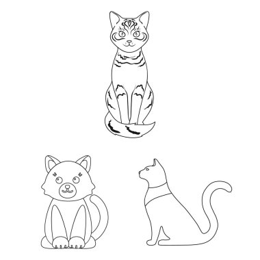 Evde beslenen hayvan ve sphynx simgesi yalıtılmış nesne. Evde beslenen hayvan ve eğlenceli hisse senedi simgesi için web topluluğu.