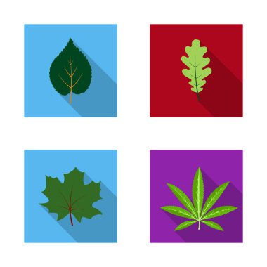 Vegan ve organik sembolü yalıtılmış nesne. Vegan ve hisse senedi için taze vektör ikon koleksiyonu.