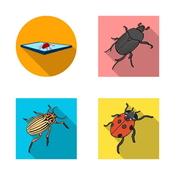Vector illustration of insect and beetle sign. Collection of insect and halloween stock symbol for web. — Stock Vector