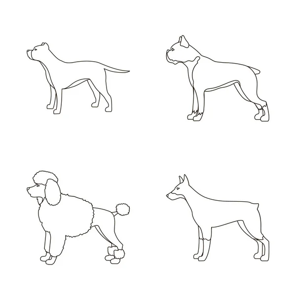 Sevimli vektör çizim ve köpek yavrusu sembolü. Hisse senedi için şirin ve hayvan vektör simge topluluğu. — Stok Vektör