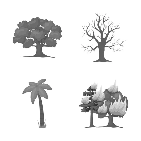 Objet Isolé Arbre Icône Forêt Ensemble Arbre Icône Vectorielle Verte — Image vectorielle