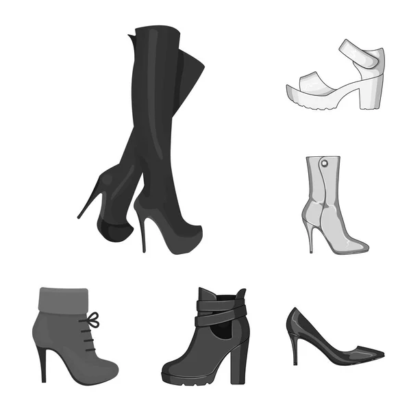 Vector design of heel and high icon. Set of heel and stiletto vector icon for stock. — Stock Vector