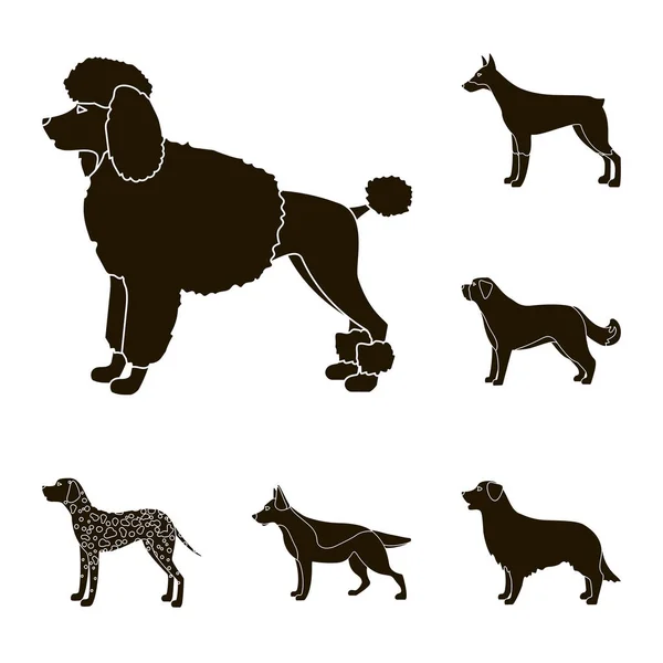 Objeto isolado de ícone bonito e cachorrinho. Coleção de ícone de vetor bonito e animal para estoque . — Vetor de Stock