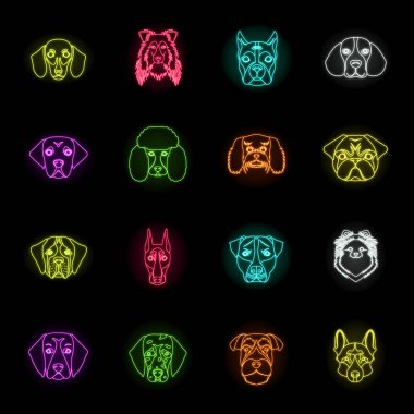 Köpek tasarım için set koleksiyonunda neon simgeleri doğurur. Bir köpek vektör sembolü stok web illüstrasyon Namlu.