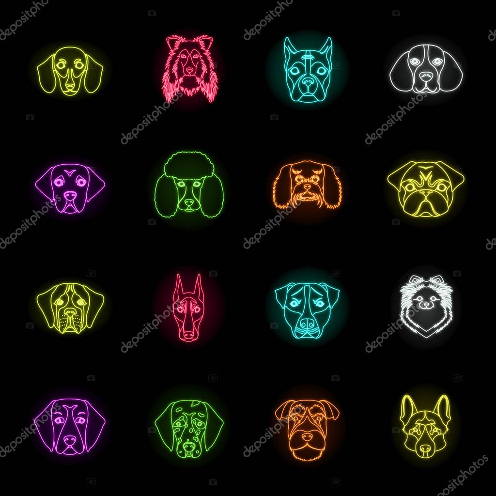 Dog breeds neon icons in set collection for design.Muzzle of a dog vector symbol stock  illustration.