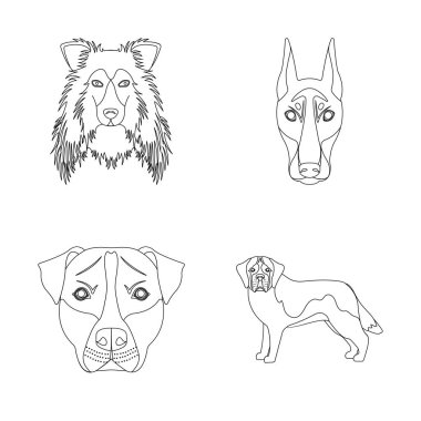 Şirin izole nesnesini ve köpek yavrusu sembolü. Şirin ve hayvan hisse senedi vektör çizim seti.