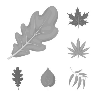 Vegan ve organik işareti vektör Illustration. Vegan ve hisse senedi için taze vektör ikon koleksiyonu.