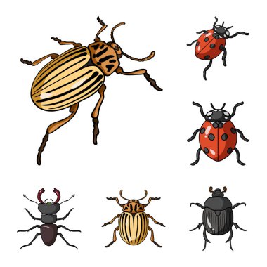 Böcek ve böcek simge vektör Illustration. Hisse senedi için böcek ve Cadılar Bayramı vektör simge kümesi.