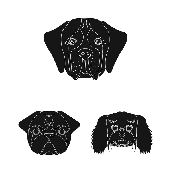 Diseño vectorial de lindo y cachorro icono. Colección de lindo y animal símbolo de stock para la web . — Vector de stock