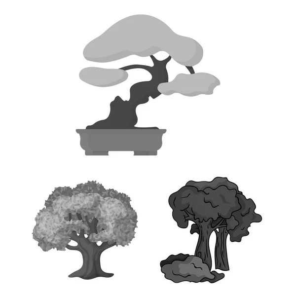 Conception vectorielle de l'arbre et du symbole forestier. Jeu d'illustration vectorielle arbre et bouillon vert . — Image vectorielle