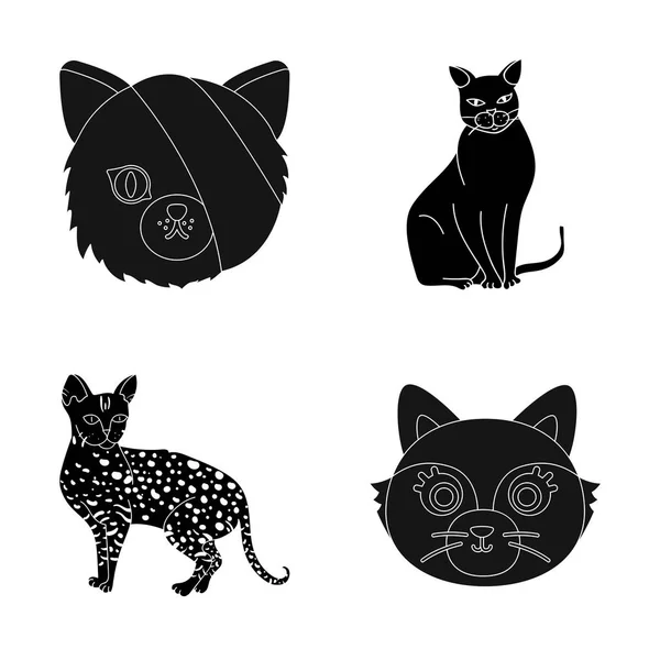 Illustrazione vettoriale del segno animale domestico e sfinge. Set di animali domestici e divertente illustrazione vettoriale stock . — Vettoriale Stock