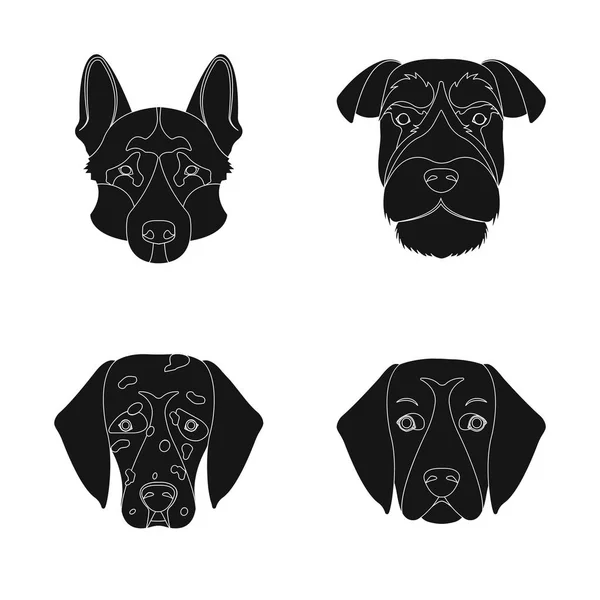 Ilustración vectorial de lindo y cachorro icono. Conjunto de lindo y animal stock símbolo para web . — Vector de stock