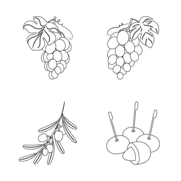 Vektordesign von Beeren- und Fruchtsymbolen. Sammlung von Beeren- und Rotbeervektorsymbolen für Aktien. — Stockvektor