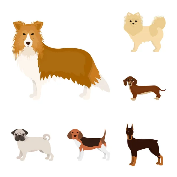 Premium Vector  Dog breeds set, small and medium size, side view