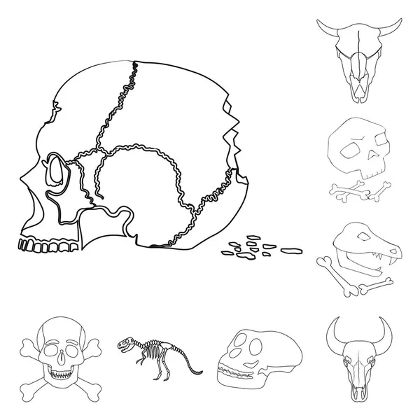 Diseño vectorial de esqueleto y símbolo de carácter. Colección de esqueleto y el icono del vector de Halloween para la acción . — Archivo Imágenes Vectoriales