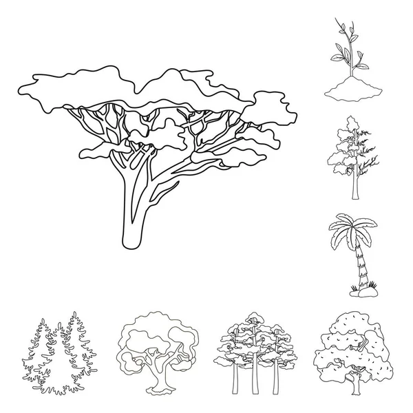 Векторний дизайн дерева та значка лісу. Набір значків дерева і зеленого вектора для запасів . — стоковий вектор