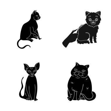 Evde beslenen hayvan ve sphynx sembolü yalıtılmış nesne. Evde beslenen hayvan ve eğlenceli hisse senedi toplama illüstrasyon vektör.