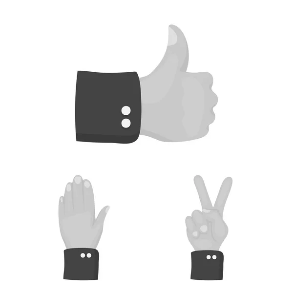 Diseño vectorial de logotipo animado y pulgar. Conjunto de ilustración de vector de stock de animación y gesto . — Vector de stock