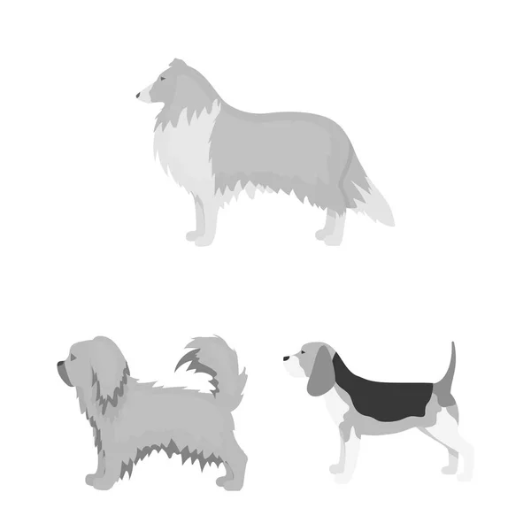 かわいいの孤立したオブジェクトと子犬のロゴ。ストックのかわいい、動物のベクトル アイコンのコレクション. — ストックベクタ