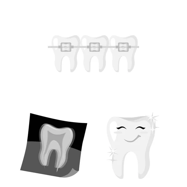 Vector design of tooth and happy icon. Set of tooth and whitening stock vector illustration. — Stock Vector
