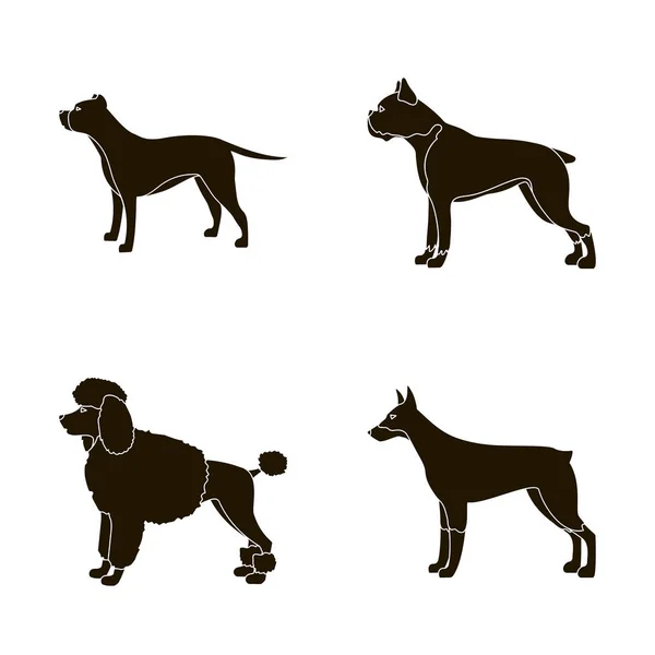 Isolated object of cute and puppy icon. Collection of cute and animal vector icon for stock. — Stock Vector