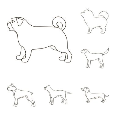 Şirin izole nesnesini ve köpek yavrusu sembolü. Şirin ve hayvan hisse senedi simgesi için web topluluğu.
