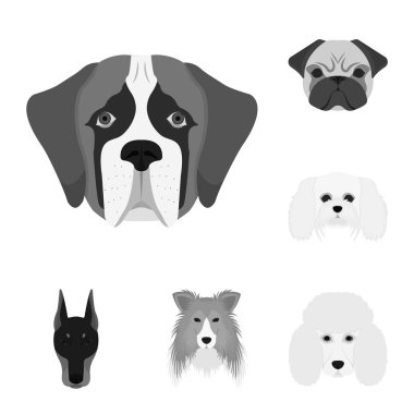 Şirin izole nesnesini ve köpek yavrusu simgesi. Web için şirin ve hayvan hisse senedi simgesi kümesi.