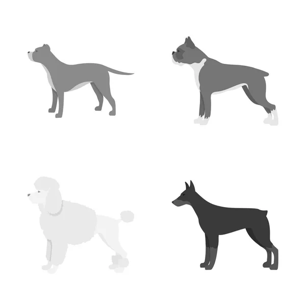Sevimli vektör çizim ve köpek yavrusu simgesi. Şirin ve hayvan hisse senedi vektör çizim topluluğu. — Stok Vektör