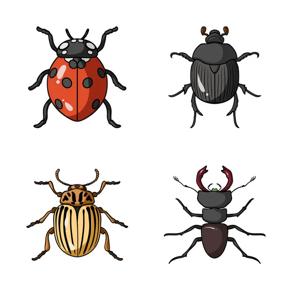 Objeto aislado del logotipo de insecto y escarabajo. Colección de insectos y halloween símbolo de stock para la web . — Archivo Imágenes Vectoriales