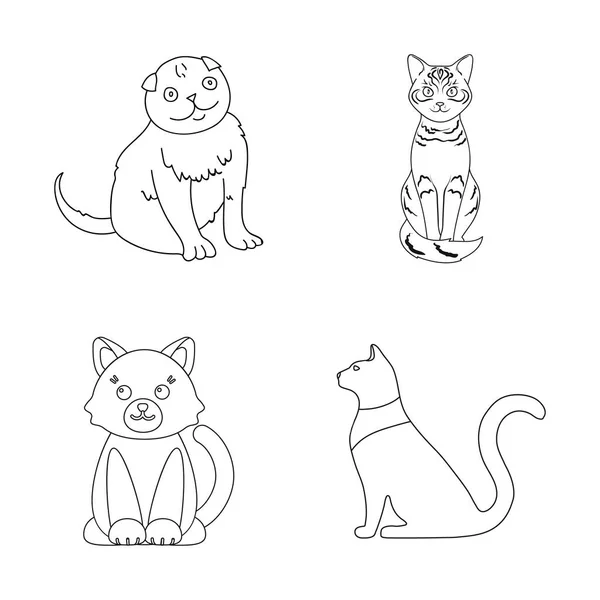 ペットとスフィンクスのロゴのベクター デザイン ペットと楽しい在庫のコレクション ベクトル イラスト — ストックベクタ