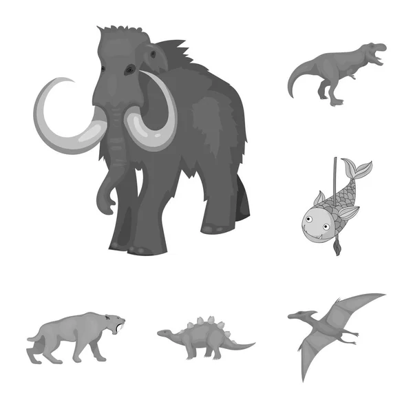 Isolerade objekt av djur och karaktär ikon. Samling av djur och gamla aktiesymbol för webben. — Stock vektor