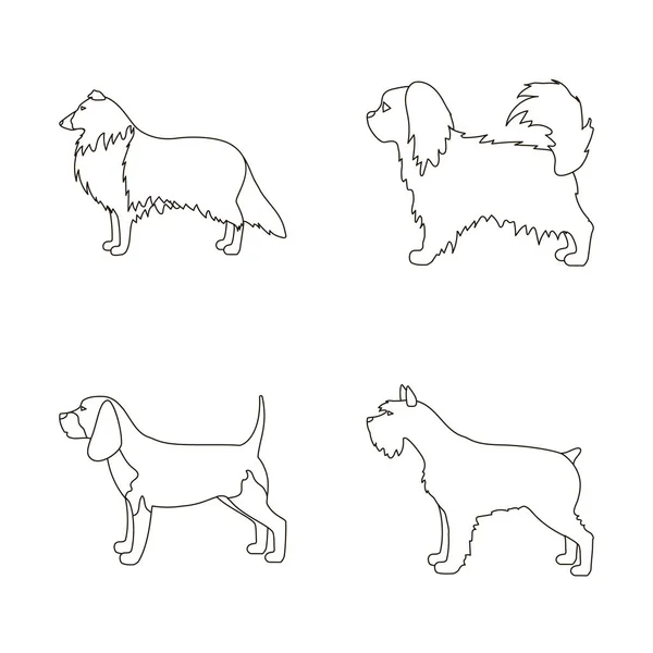 Objeto isolado de símbolo bonito e cachorrinho. Coleção de ícone de vetor bonito e animal para estoque . — Vetor de Stock