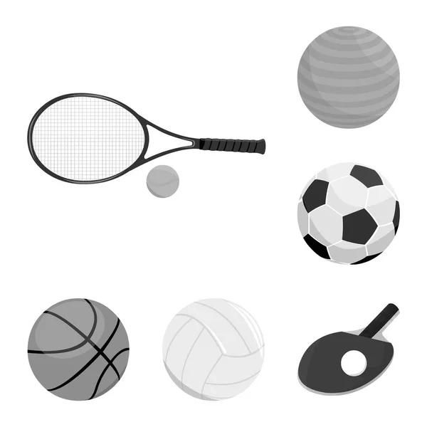 Projeto vetorial de bola e logotipo de futebol. Conjunto de bola e basquete estoque vetor ilustração . — Vetor de Stock