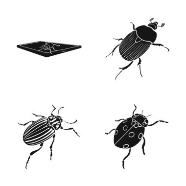 Böcek ve böcek simge vektör Illustration. Web için böcek ve Cadılar Bayramı hisse senedi simgesi kümesi.