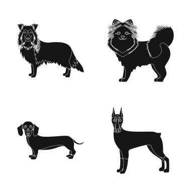 Sevimli vektör çizim ve logosu. Şirin ve hisse senedi vektör çizim seti.