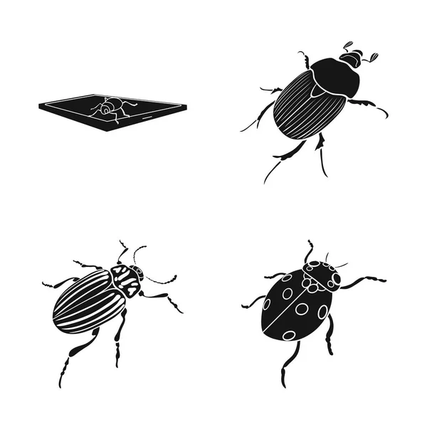 Vector illustration of insect and beetle icon. Set of insect and halloween stock symbol for web. — Stock Vector