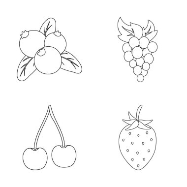 Berry ve meyve simge vektör tasarımı. Berry kümesi ve hisse senedi için redberry vektör simgesi.