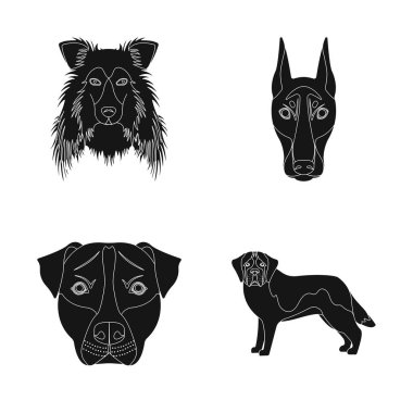 Sevimli vektör çizim ve köpek yavrusu simgesi. Şirin ve hayvan hisse senedi vektör çizim seti.