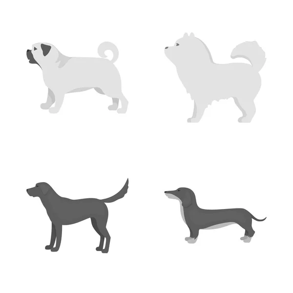 Vektorillustration av söt och valp logotyp. Uppsättning av söt och djur vektor ikonen för lager. — Stock vektor